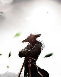 团宠小太子[清穿]