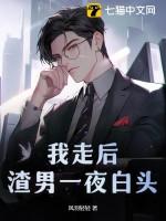 我走后,渣男一夜白头