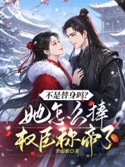 不是替身吗?她怎么捧权臣称帝了